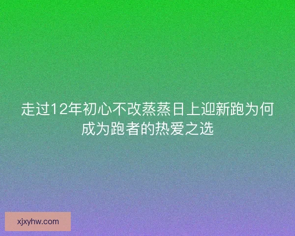 走过12年初心不改蒸蒸日上迎新跑为何成为跑者的热爱之选